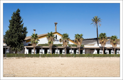 Конюшни в Королевской Андалузской школе верховой езды.