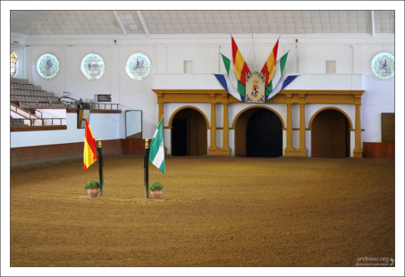 Арена Picadero на которой происходит выступление лошадей во время шоу. Real Escuela Andaluza del Arte Ecuestre.
