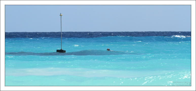 Молочно-голубая вода Барбадоса.