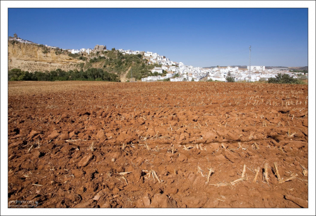 Вспаханное поле на подъезде к Аркосу. Аркос-де-ла-Фронтера, Андалузия, Испания.