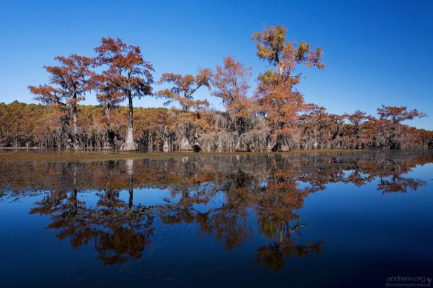 Свое название озеро получило в честь индейского племени Каддо, проживавшего в этой местности до 1835 года.