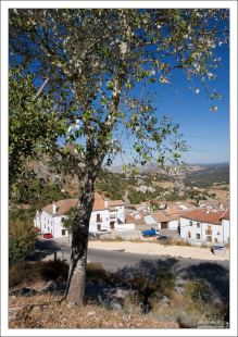 Гразалема расположилась "ступенями" на склоне горы.