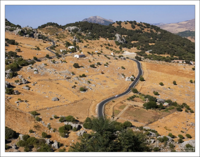 Дорога через национальный парк “Sierra de Grazalema Natural Park”.
