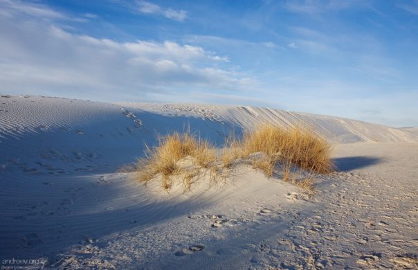 Обычный гипс (CaSO4•2H2O) в виде песка.