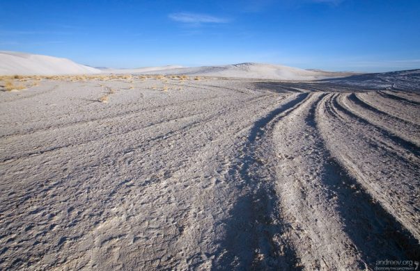 Один из сухих бассейнов среди дюн.