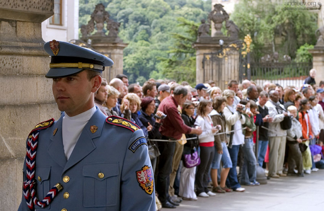 Вот такой Швейк.