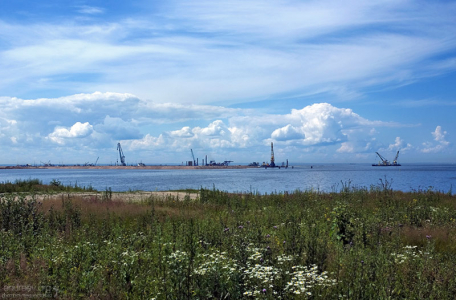 Строительство нового порта у границ Василеостровского района.