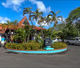Кастри - порт и столица государства St. Lucia.