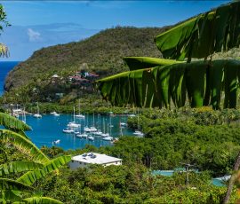 Залив Marigot Bay и гавань, где суда могут спрятаться от урагана.