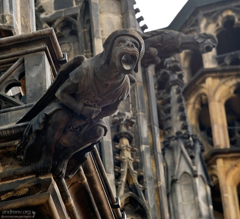 Грозные горгульи на стенах собора Св. Вита предназначались для поливания врагов кипящим маслом.