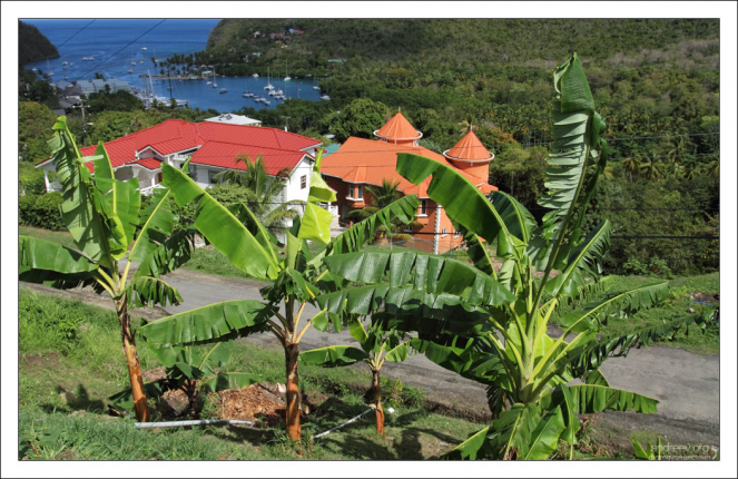 Банановая плантация на пути к заливу Мариго.