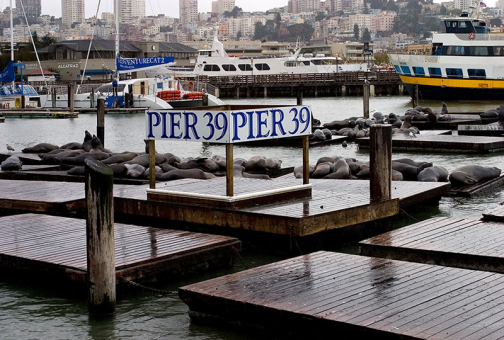 Пирс # 39 - одна из достопримечательностей Сан-Франциско.