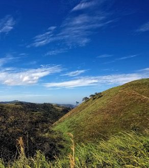 Деревья на склоне холма, скользящие будто на лыжах. По пути в заповедник Monteverde Cloud Forest Reserve.