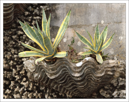 Лепнина в виде раковин и кораллов с настоящими растениями. Дворец Пена.