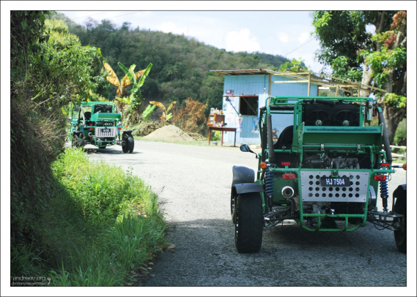 Арендованные туристами машины-багги.