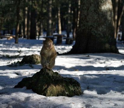 - Боже, куда я телепортнулся?!