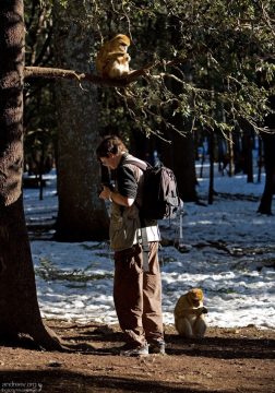 Каждый занят своим делом.