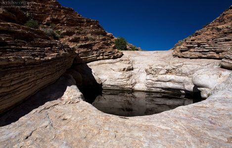 На много миль вокруг эта воронка - единственный источник воды, так нужной диким животным.