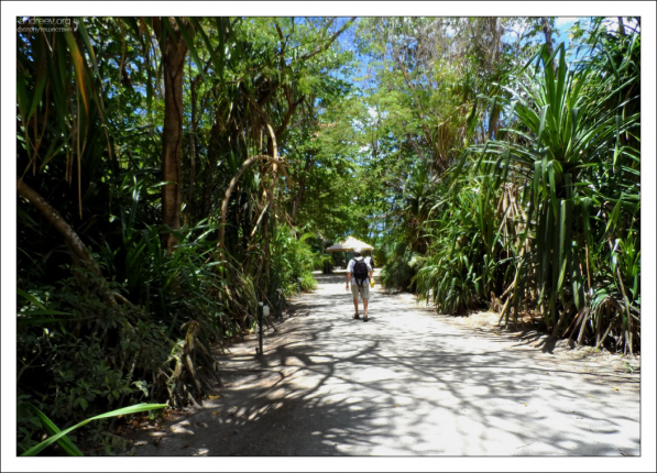 Тропинка к пляжу Anse Chastanet.