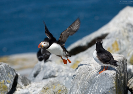 Разогрелись - полетели.