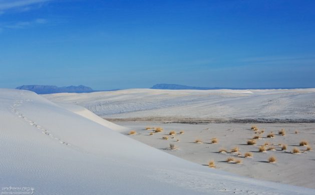 На тропе Alkali Flat trail.