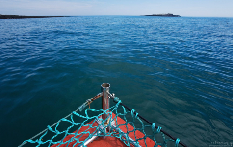 Дорога на Макиас-Сил.