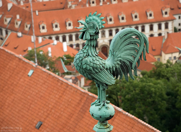 Бронзовый петушок на крыше собора Св. Вита.