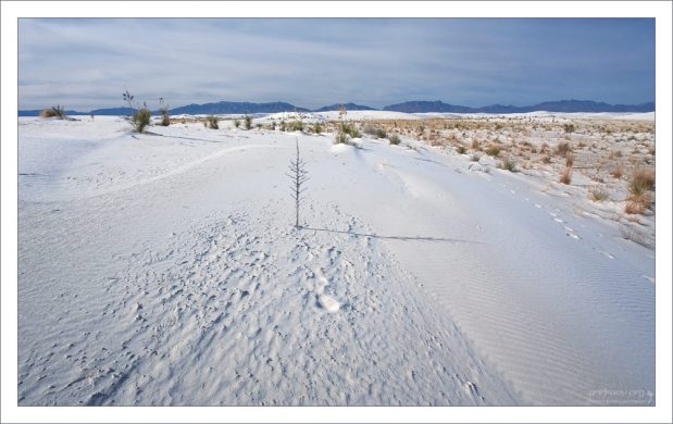 Естественные солнечные часы на дюне.