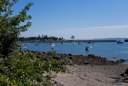 Гавань в городке Jonesport.