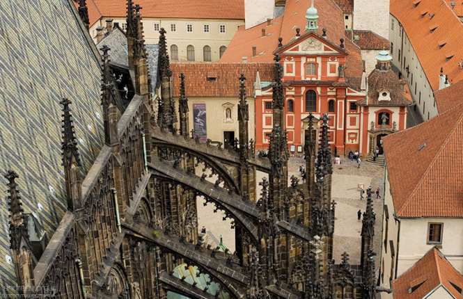 Хищная готика.