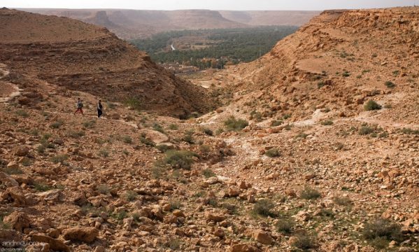 Каньон и оазис на горизонте в долине реки Зиз.