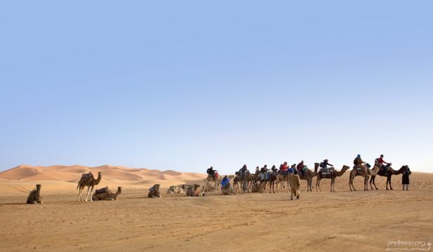 Верблюжий караван с туристами.