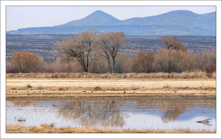 Проток Low-Flow Channel, идущий параллельно Рио-Гранде.