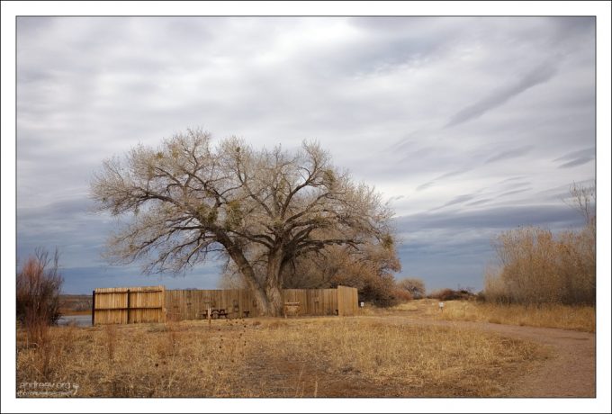 Одно из укрытий (blinds) - заборы или небольшие избушки с бойницами, через которые удобно наблюдать за пугливыми птицами.