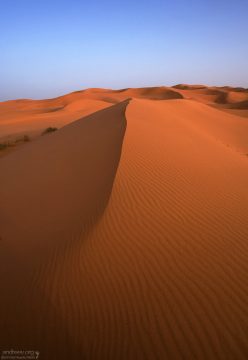 Рельеф песков представлен преимущественно дюнами, вытянутыми в направлении господствующих ветров.