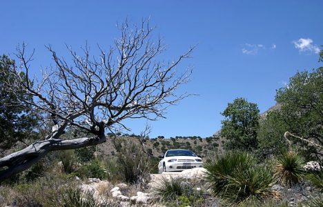 Только что приехали в кемпинг "Pine Springs". Guadalupe Mountains National Park.