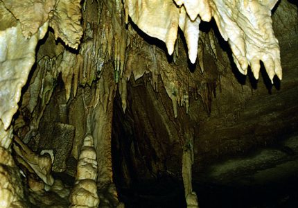 Один из многочисленных туннелей в Mammoth Cave.