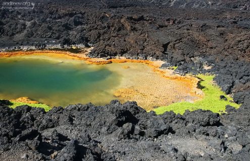 Оранжево-зеленый оазис в лавовой пустыне. На пути к Аквариуму.