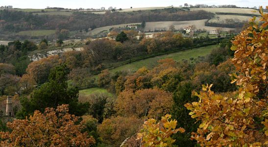 Золотые дубы под Анконой.