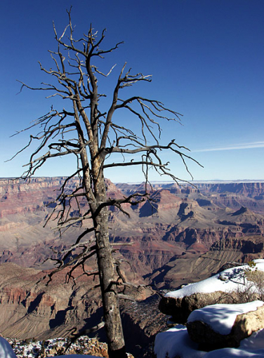Зимний страж Гранд каньона.