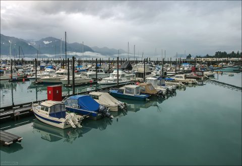 Тихая гавань Сьюарда.