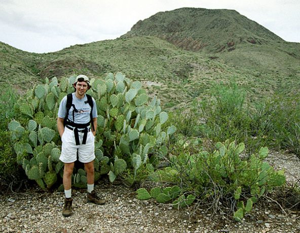 Грушевидный кактус в человеческий рост. Пустыня Chihuahuan desert.