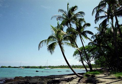 Пляж Waialea с великолепными подводными пейзажами.