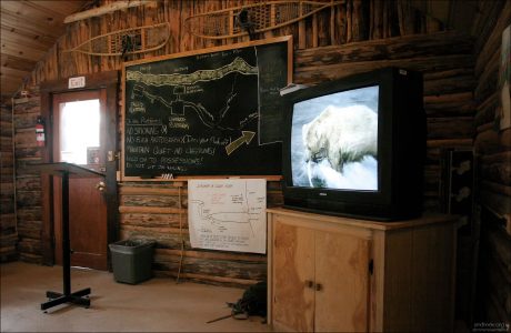 Схема водопада и кино по технике безопасного поведения среди диких медведей.