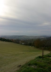 Убранные поля.