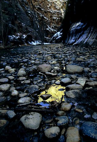 Золотая лужа. Вход в каньон "The Narrows".