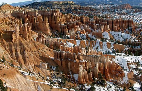 Сад Королевы (Queen's Garden).