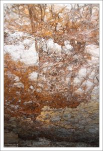 Ячеистая структура на потолке в пещере Wind Cave.