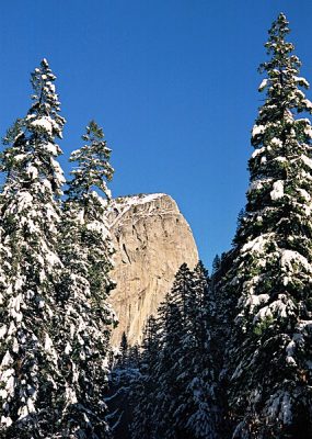 Тропа к водопаду Vernal fall.