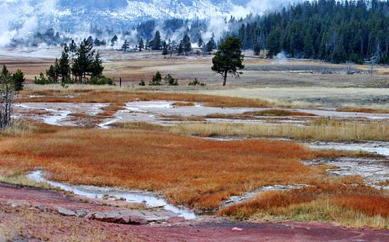 Гейзеровые холмы. Upper Geyser basin.